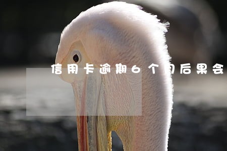 信用卡逾期6个月后果会影响家人吗