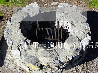 信用卡逾期6个月后果咨询 信用卡逾期6个月后果咨询