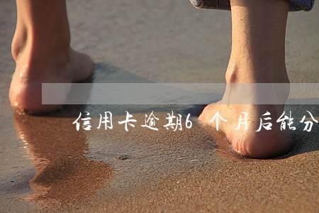 信用卡逾期6个月后能分期还吗 信用卡逾期6个月后能分期还吗