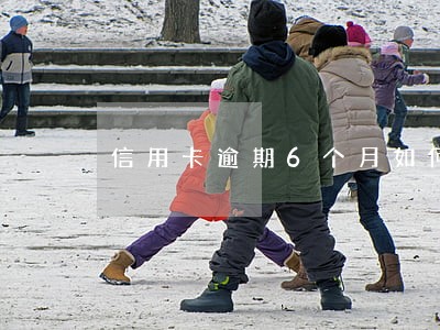 信用卡逾期6个月如何协商停息 信用卡逾期6个月如何协商停息