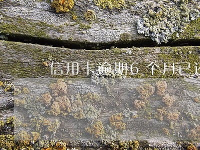 信用卡逾期6个月已还清 信用卡逾期6个月已还清