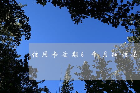 信用卡逾期6个月征信还能 信用卡逾期6个月征信还能