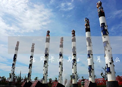 信用卡逾期6个月怎么申诉分期
