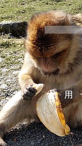 信用卡逾期6个月怎么解冻