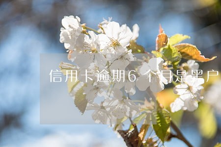 信用卡逾期6个月是黑户么