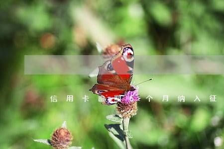 信用卡逾期6个月纳入征信 信用卡逾期6个月纳入征信