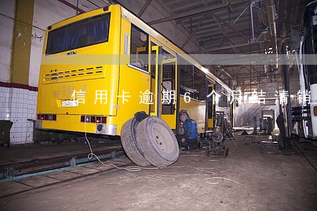 信用卡逾期6个月结清销卡 信用卡逾期6个月结清销卡