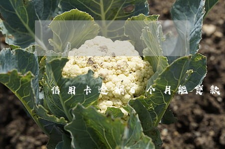 信用卡逾期6个月能贷款吗 信用卡逾期6个月能贷款吗