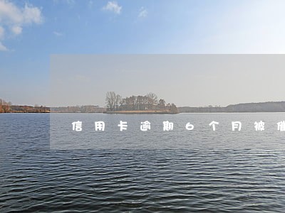 信用卡逾期6个月被催收 信用卡逾期6个月被催收