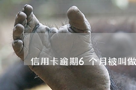 信用卡逾期6个月被叫做笔录 信用卡逾期6个月被叫做笔录