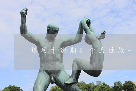 信用卡逾期6个月还款一半 信用卡逾期6个月还款一半