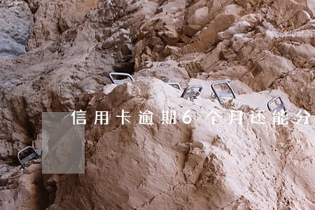 信用卡逾期6个月还能分期吗 信用卡逾期6个月还能分期吗