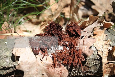信用卡逾期6天了怎么办 信用卡逾期6天了怎么办