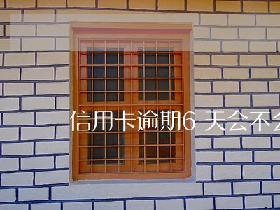 信用卡逾期6天会不会上征信 信用卡逾期6天会不会上征信