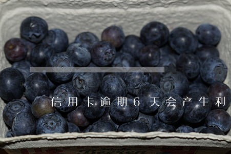 信用卡逾期6天会产生利息吗