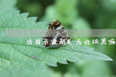 信用卡逾期6天会拉黑嘛