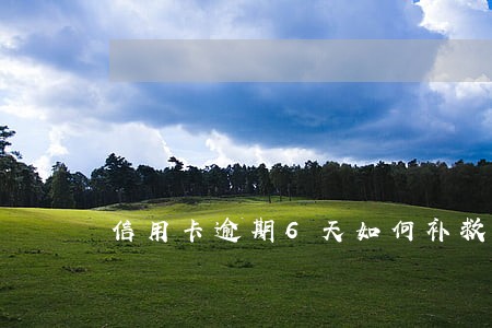 信用卡逾期6天如何补救 信用卡逾期6天如何补救