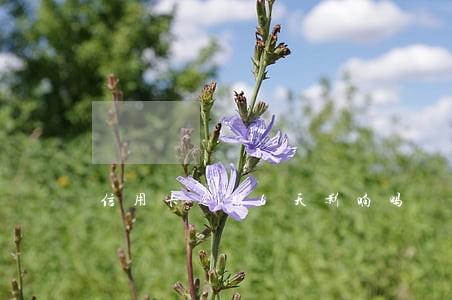 信用卡逾期6天影响吗 信用卡逾期6天影响吗