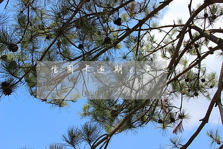 信用卡逾期6天忘了还 信用卡逾期6天忘了还