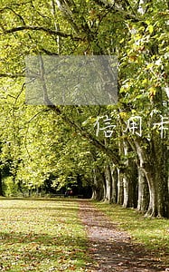 信用卡逾期6天怎么算 信用卡逾期6天怎么算