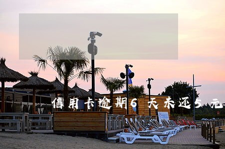 信用卡逾期6天未还5元 信用卡逾期6天未还5元