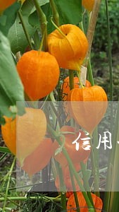 信用卡逾期6天未还款 信用卡逾期6天未还款