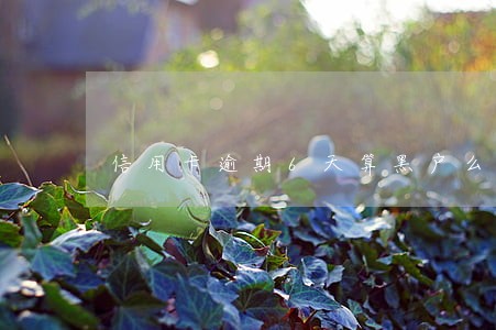 信用卡逾期6天算黑户么