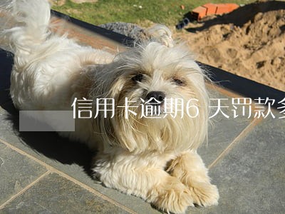 信用卡逾期6天罚款多少 信用卡逾期6天罚款多少
