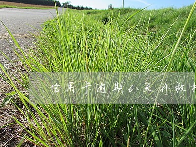 信用卡逾期6天补救措施 信用卡逾期6天补救措施