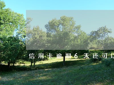 信用卡逾期6天还可以使用吗 信用卡逾期6天还可以使用吗
