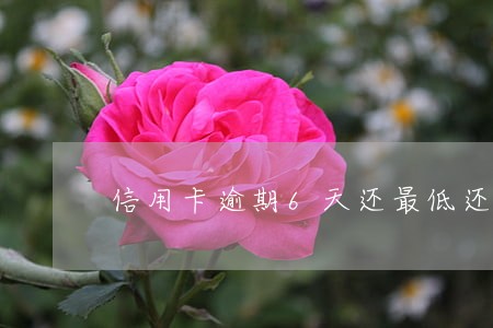 信用卡逾期6天还最低还款 信用卡逾期6天还最低还款