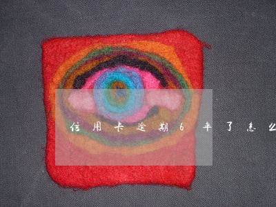 信用卡逾期6年了怎么做分期 信用卡逾期6年了怎么做分期