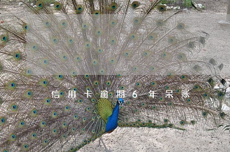 信用卡逾期6年呆账