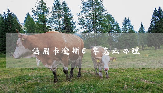 信用卡逾期6年怎么办理 信用卡逾期6年怎么办理