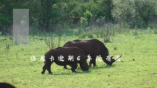 信用卡逾期6年没有还 信用卡逾期6年没有还