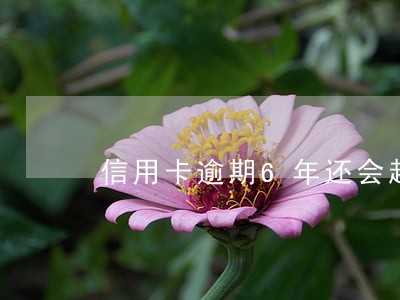 信用卡逾期6年还会起诉 信用卡逾期6年还会起诉