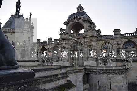 信用卡逾期6期有没有办法 信用卡逾期6期有没有办法