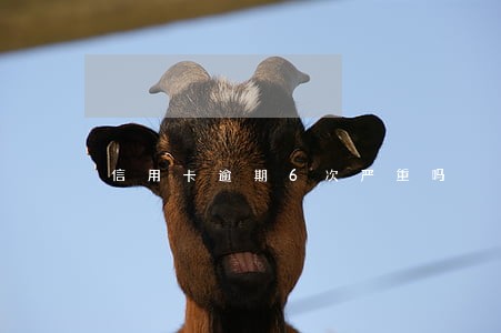 信用卡逾期6次严重吗 信用卡逾期6次严重吗