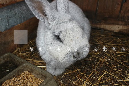 信用卡逾期6次会影响孩子考研吗