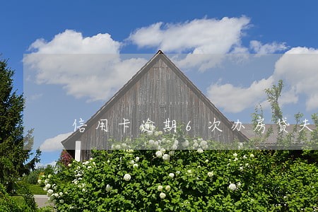 信用卡逾期6次办房贷夫妻 信用卡逾期6次办房贷夫妻