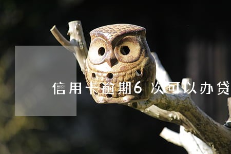 信用卡逾期6次可以办贷款吗