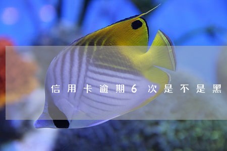 信用卡逾期6次是不是黑户 信用卡逾期6次是不是黑户