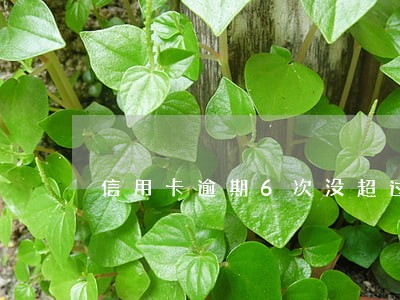 信用卡逾期6次没超过30天 信用卡逾期6次没超过30天
