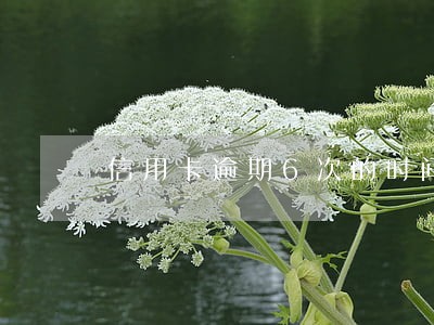 信用卡逾期6次的时间怎么算 信用卡逾期6次的时间怎么算
