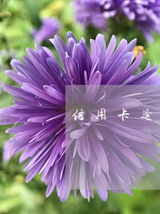 信用卡逾期6次能公积金贷款吗 信用卡逾期6次能公积金贷款吗