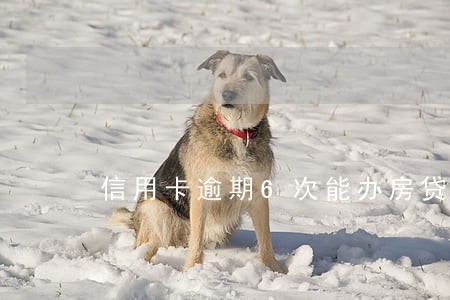 信用卡逾期6次能办房贷 信用卡逾期6次能办房贷