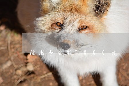 信用卡逾期7000元 信用卡逾期7000元