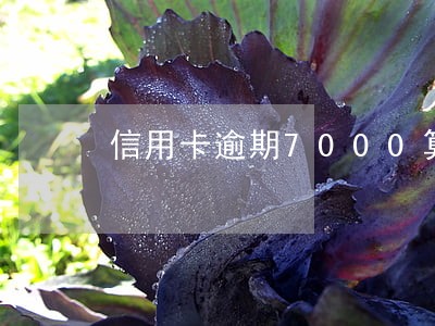 信用卡逾期7000算诈骗吗 信用卡逾期7000算诈骗吗