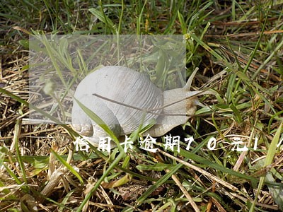 信用卡逾期70元1个月
