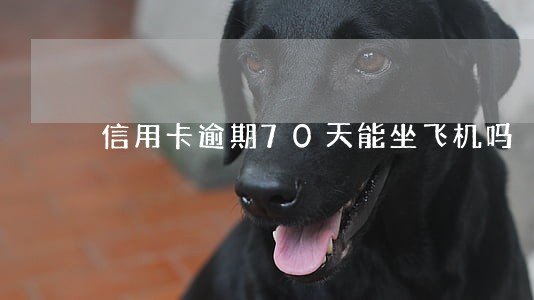 信用卡逾期70天能坐飞机吗